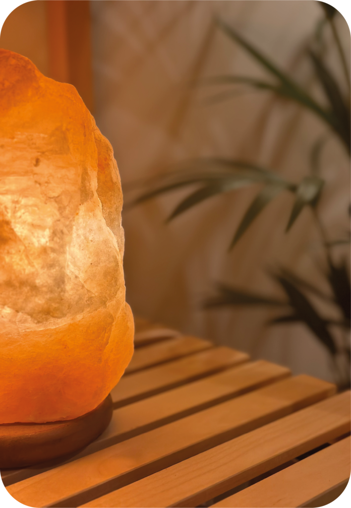 lampe-de-sel-plante